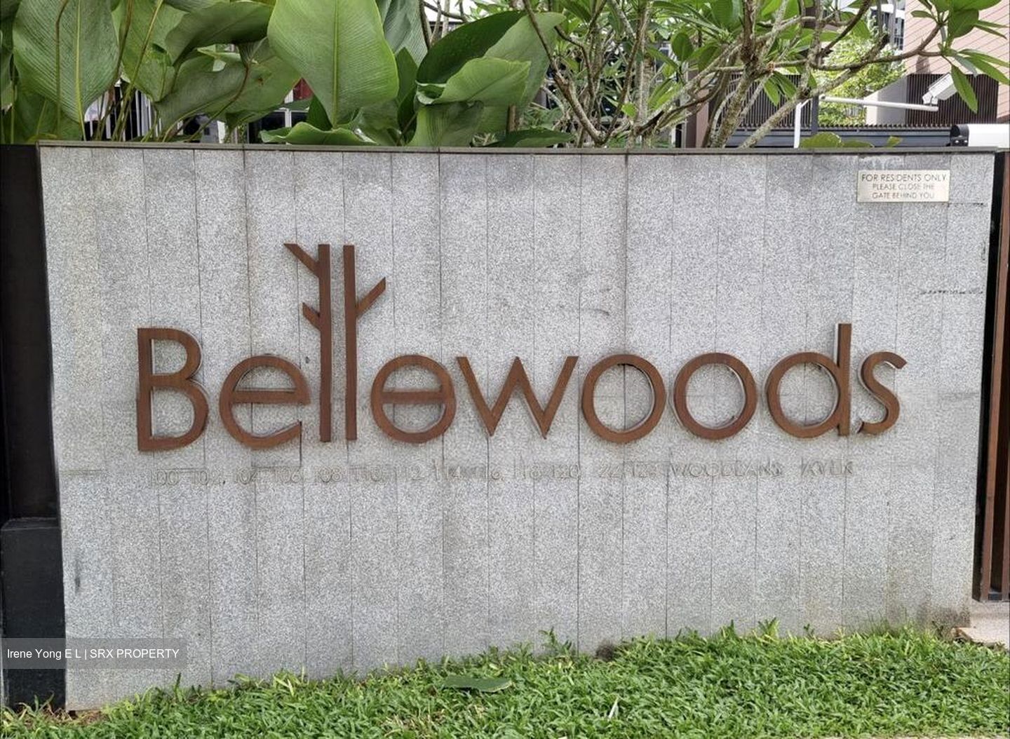 Bellewoods (D25), Condominium #504519561